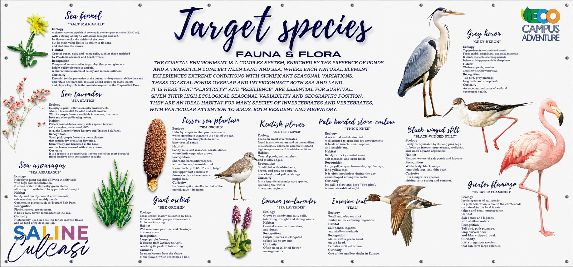 target species